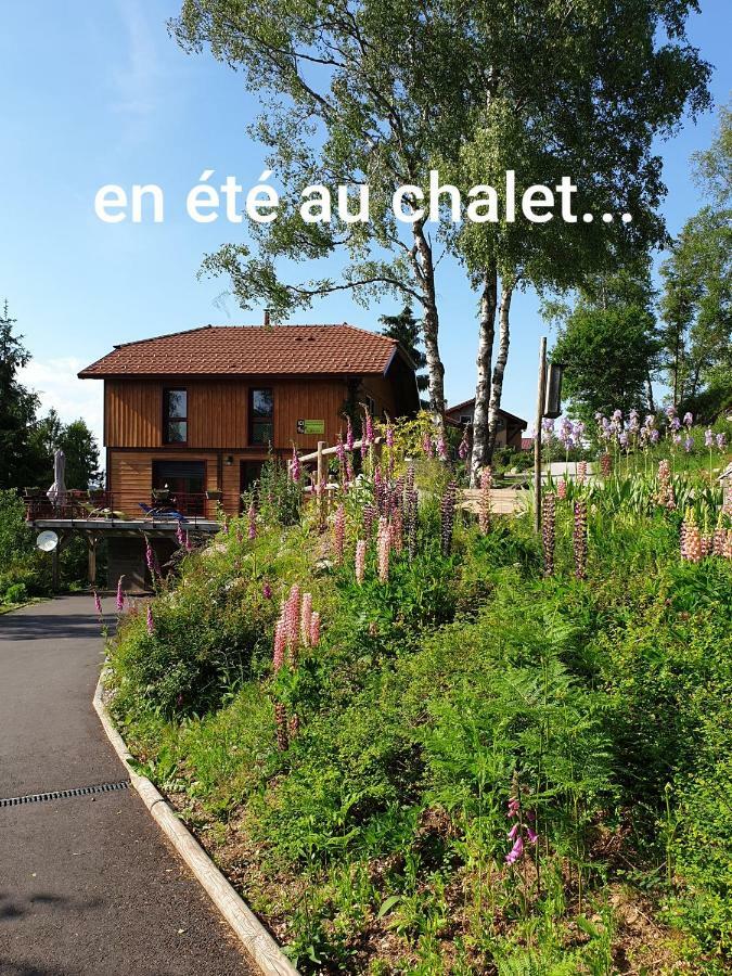 Chalet Luxe 13 Personnes Spa Sauna Vosges-Gerardmer Льо Толи Екстериор снимка